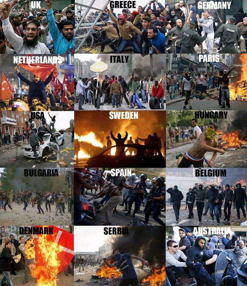 odin muslim -- converting to norse religion -- day muslims can thank radical islam for each other's skulls in battle the god odin comes and takes half . odin muslim -- converting to norse religion -- day muslims can thank radical islam for each other's skulls in battle the god odin comes and takes half .