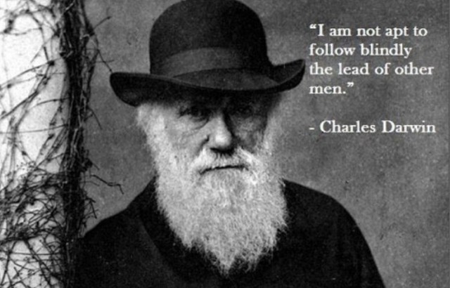 I agree Charles. Than there is two of our kind.