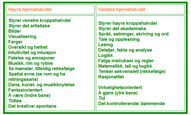 hjerne