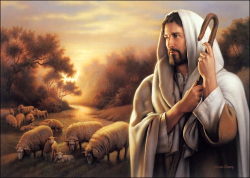 Israels Shephard